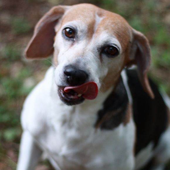 Katie - Picture 1 of 2